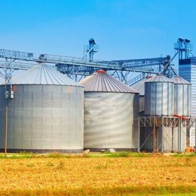 MT: déficit de armazenagem impulsiona uso de silo bolsa para estocar milho - Notícias - Mato Grosso digital