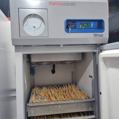 MT Hemocentro recebe seis freezers para armazenamento de plasma - Notícias - Mato Grosso digital