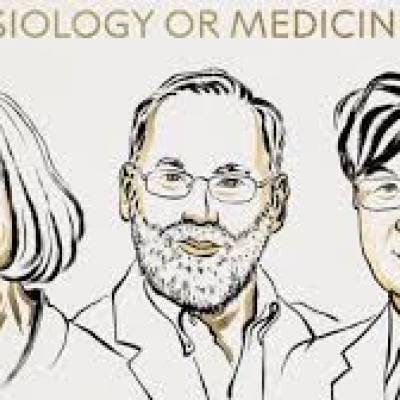 Nobel da Medicina vai para Mary E. Brunkow, Fred Ramsdell e S. Sakaguchi - Notícias - Mato Grosso digital