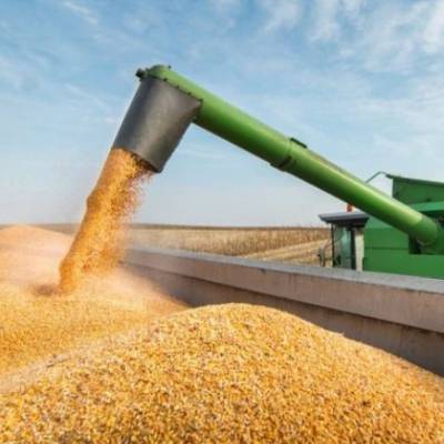 O agro quebra mais que qualquer outro setor — e não é por causa da safra - Notícias - Mato Grosso digital