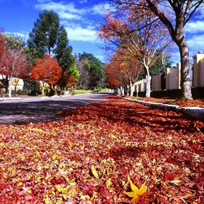 Outono começa nesta sexta (20/3): veja previsão do tempo para estação - Notícias - Mato Grosso digital