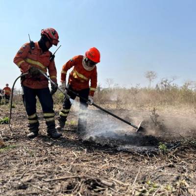 Período proibitivo do uso do fogo no Pantanal começa no dia 1º de junho - Notícias - Mato Grosso digital