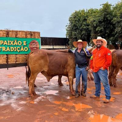Prefeito de Pontal lidera carreiros em protesto por asfalto na BR-158 em MT - Notícias - Mato Grosso digital
