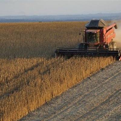 Produção de soja no Brasil mantém riitmo firme em 2024 - Notícias - Mato Grosso digital