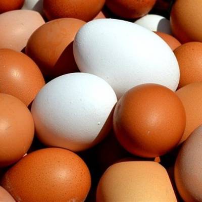 Quaresma sustenta consumo de ovos - Notícias - Mato Grosso digital