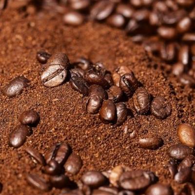 Receita de café exportado chega a US$ 9 bilhões até julho - Notícias - Mato Grosso digital
