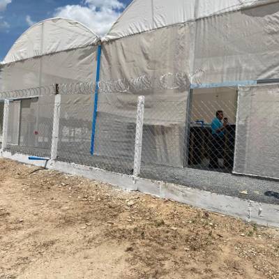 Seaf inaugura mais uma unidade do projeto de aquaponia “Ciclo Vivo” em Cuiabá - Notícias - Mato Grosso digital