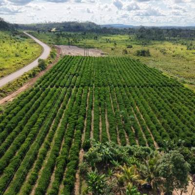 Seaf inicia mobilização do MT Produtivo em 61 municípios de Mato Grosso - Notícias - Mato Grosso digital