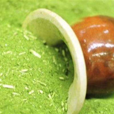 Selo de qualidade fortalece produção e agrega valor à erva-mate no RS - Notícias - Mato Grosso digital