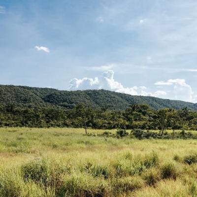 Sema aprova mais de mil projetos para recuperação de 50 mil hectares - Notícias - Mato Grosso digital