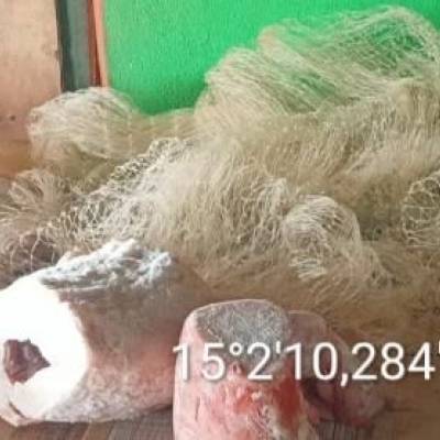 Sema e PM apreendem animais comercializados ilegalmente no norte do estado - Notícias - Mato Grosso digital