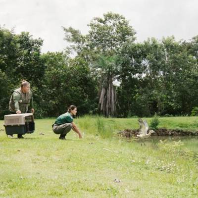 Sema investe mais de R$ 2 milhões em atendimento veterinário em 2025 - Notícias - Mato Grosso digital