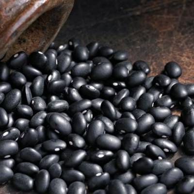 Semeadura do feijão chega a 60% da área prevista - Notícias - Mato Grosso digital