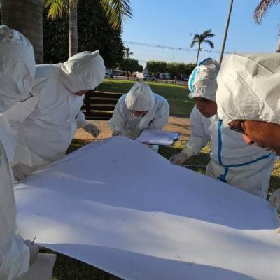 SES investiga casos de dermatite em Lucas do Rio Verde - Notícias - Mato Grosso digital