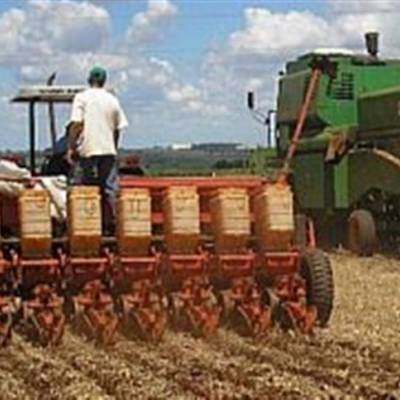 Sistema Plantio Direto: pilar da sustentabilidade - Notícias - Mato Grosso digital