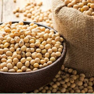 Soja avança com expectativa de novas compras - Notícias - Mato Grosso digital