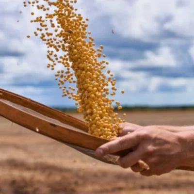 Tarifaço pode atingir 36,5% das exportações agrícolas aos EUA, diz CNA - Notícias - Mato Grosso digital