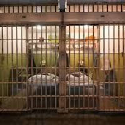 Trump anuncia reabertura de Alcatraz para criminosos violentos - Notícias - Mato Grosso digital