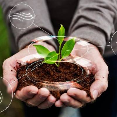 Unemat aprova projeto em chamada nacional de inovação e tecnologia - Notícias - Mato Grosso digital