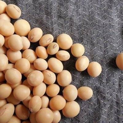 VBP da agropecuária chega a R$ 208 bilhões no Mato Grosso - Notícias - Mato Grosso digital