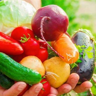 VBP da olericultura no Paraná chega a R$ 7,1 bilhões - Notícias - Mato Grosso digital