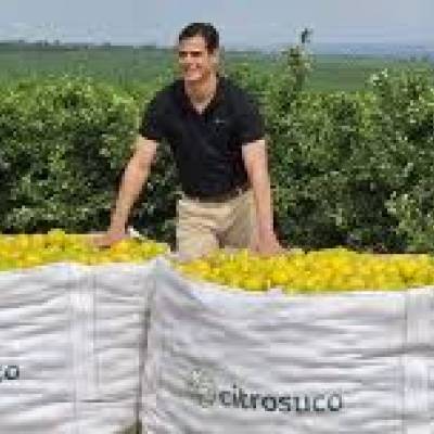 As prioridades da Citrosuco diante das mudanças no mercado de suco de laranja - Notícias - Mato Grosso digital
