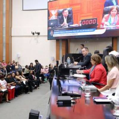 Audiência pública com ministra das Mulheres debate violência de gênero - Notícias - Mato Grosso digital
