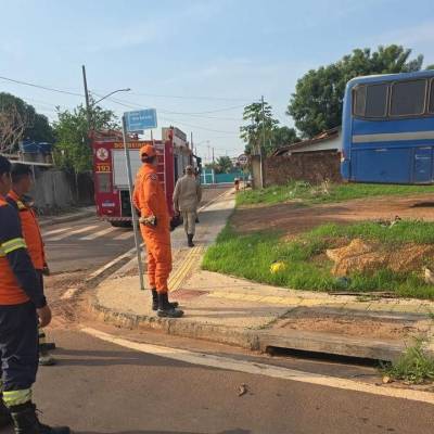 Bombeiros militares resgatam filhote de gato que estava preso em bueiro em Confresa - Notícias - Mato Grosso digital