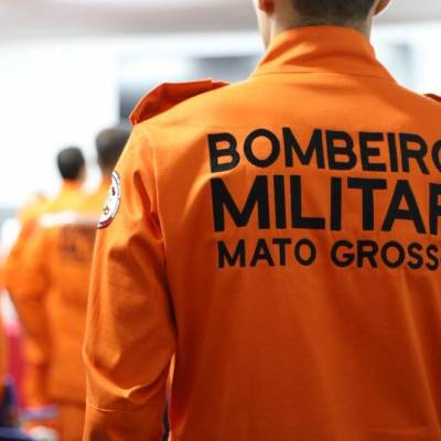 Bombeiros resgatam arara-canindé que era mantida em cativeiro - Notícias - Mato Grosso digital