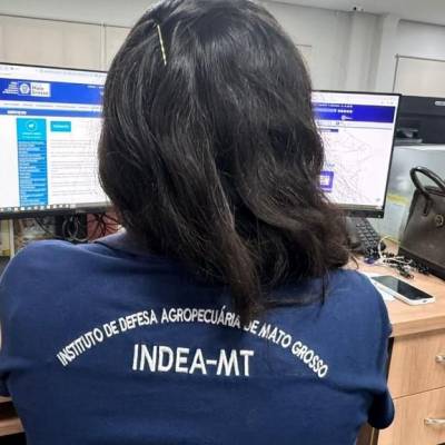 Campanha de Atualização de Estoque de Rebanhos começa dia 1º de novembro - Notícias - Mato Grosso digital