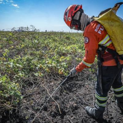 Corpo de Bombeiros combate 21 incêndios florestais nesta segunda-feira (6) - Notícias - Mato Grosso digital