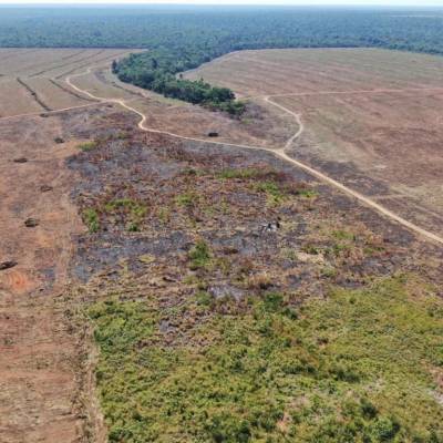 Operação ambiental multa fazenda em R$ 2 milhões por reincidência no desmate ilegal e uso do fogo - Notícias - Mato Grosso digital