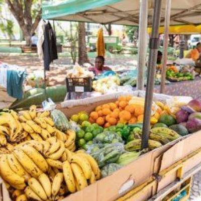 Praça Ipiranga recebe a Feira da Agricultura Familiar e Solidária nesta segunda - Notícias - Mato Grosso digital