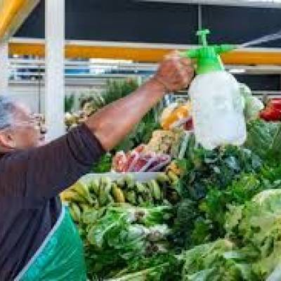 Prefeitura entrega 142 Termos de Permisão para o Mercado do Porto nesta quarta - Notícias - Mato Grosso digital