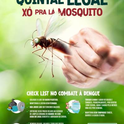 Projeto “Quintal Legal: Xô pra lá Mosquito” será lançado nesta terça-feira (26), às 14h30 - Notícias - Mato Grosso digital